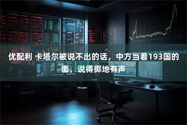 优配利 卡塔尔被说不出的话，中方当着193国的面，说得掷地有声