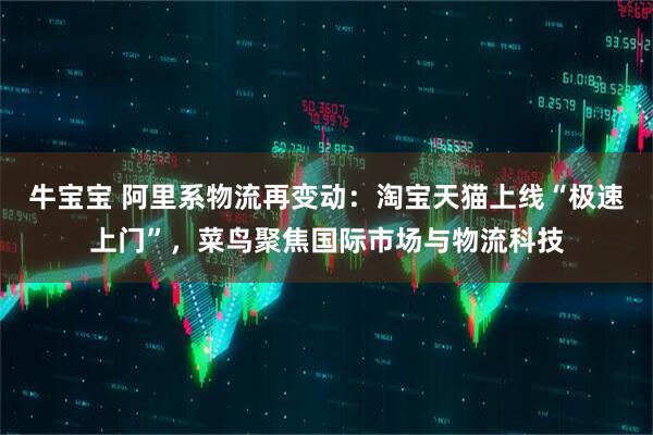 牛宝宝 阿里系物流再变动：淘宝天猫上线“极速上门”，菜鸟聚焦国际市场与物流科技