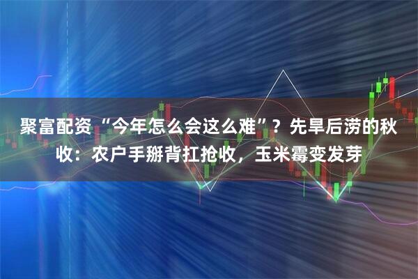 聚富配资 “今年怎么会这么难”？先旱后涝的秋收：农户手掰背扛抢收，玉米霉变发芽